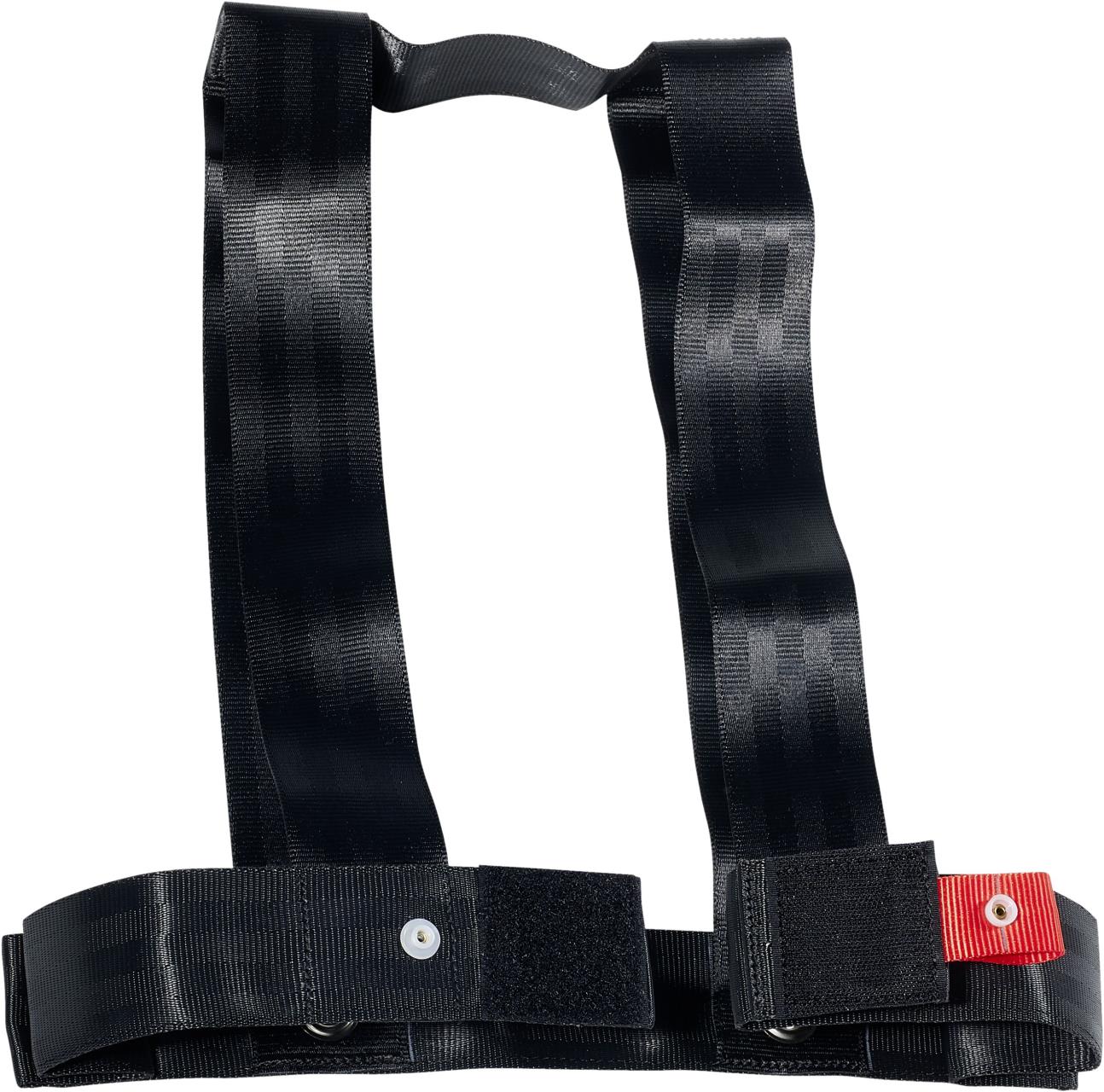 Life buoy mounting