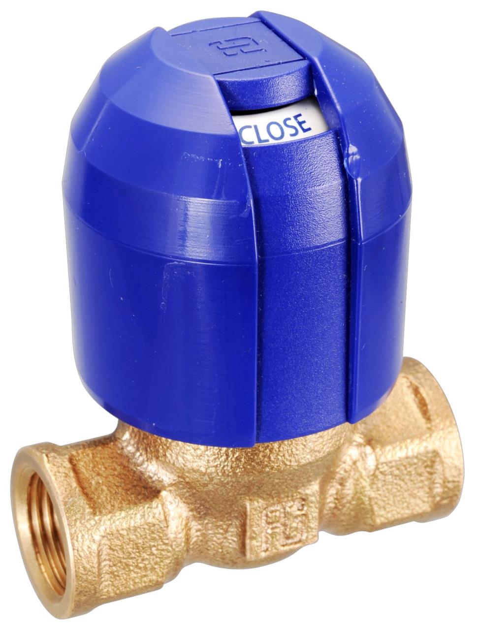 Bronze non-stick valve "Alex" GUIDI
